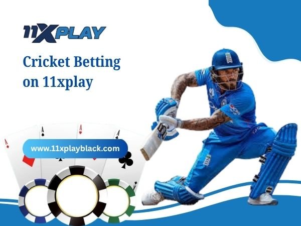 Cricket Betting on 11xplay